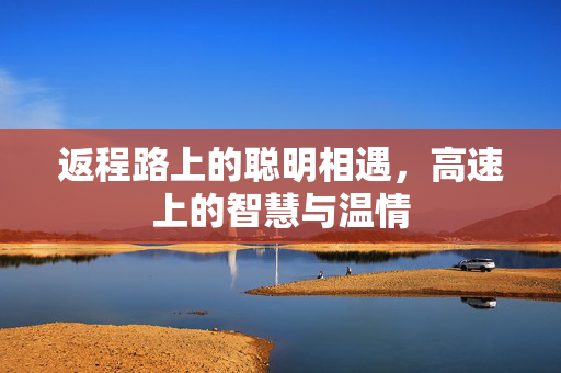 返程路上的聪明相遇，高速上的智慧与温情