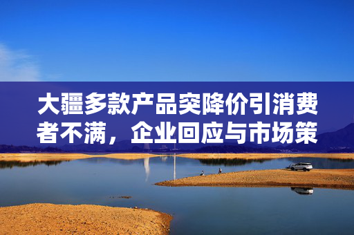 大疆多款产品突降价引消费者不满，企业回应与市场策略的深思