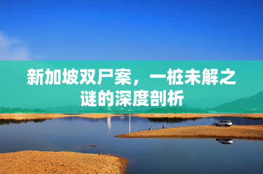 新加坡双尸案，一桩未解之谜的深度剖析