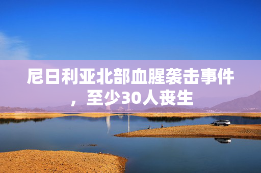 尼日利亚北部血腥袭击事件，至少30人丧生