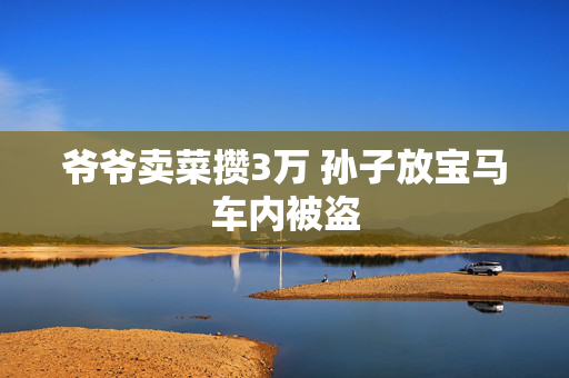 爷爷卖菜攒3万 孙子放宝马车内被盗