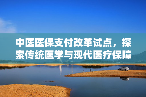 中医医保支付改革试点，探索传统医学与现代医疗保障的融合之路
