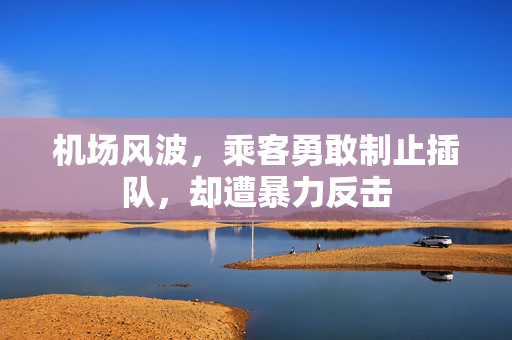 机场风波，乘客勇敢制止插队，却遭暴力反击