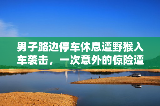 男子路边停车休息遭野猴入车袭击，一次意外的惊险遭遇