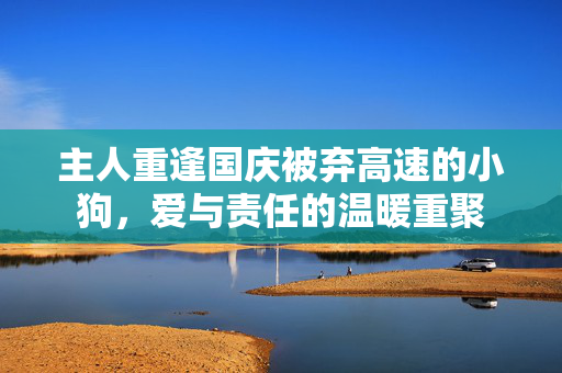 主人重逢国庆被弃高速的小狗，爱与责任的温暖重聚