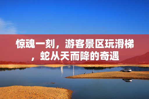 惊魂一刻，游客景区玩滑梯，蛇从天而降的奇遇