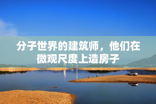 分子世界的建筑师，他们在微观尺度上造房子