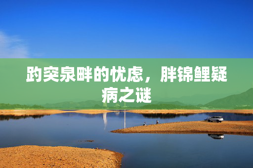 趵突泉畔的忧虑，胖锦鲤疑病之谜
