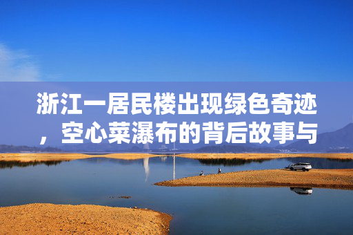 浙江一居民楼出现绿色奇迹，空心菜瀑布的背后故事与启示