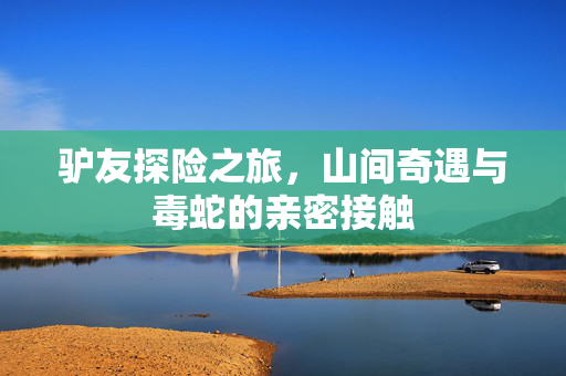 驴友探险之旅，山间奇遇与毒蛇的亲密接触