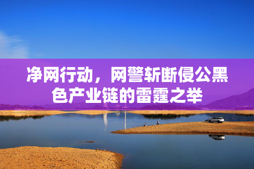 净网行动，网警斩断侵公黑色产业链的雷霆之举