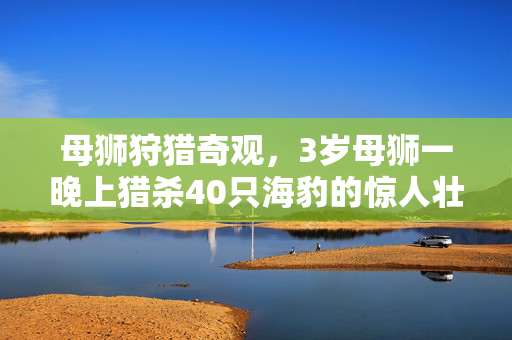 母狮狩猎奇观，3岁母狮一晚上猎杀40只海豹的惊人壮举