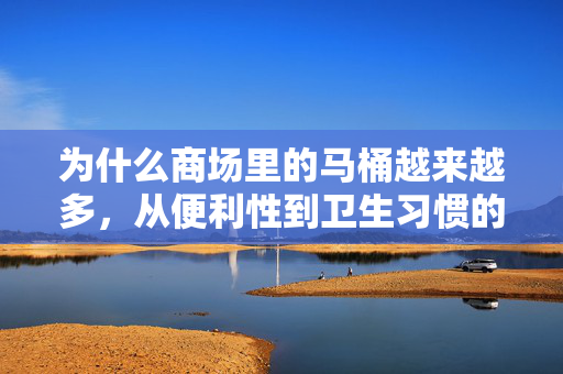 为什么商场里的马桶越来越多，从便利性到卫生习惯的革新