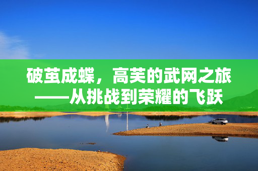 破茧成蝶，高芙的武网之旅——从挑战到荣耀的飞跃