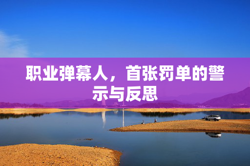 职业弹幕人，首张罚单的警示与反思