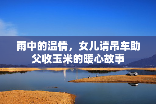 雨中的温情，女儿请吊车助父收玉米的暖心故事