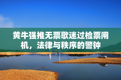 黄牛强推无票歌迷过检票闸机，法律与秩序的警钟