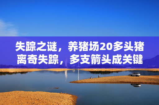 失踪之谜，养猪场20多头猪离奇失踪，多支箭头成关键线索