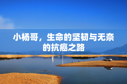小杨哥，生命的坚韧与无奈的抗癌之路