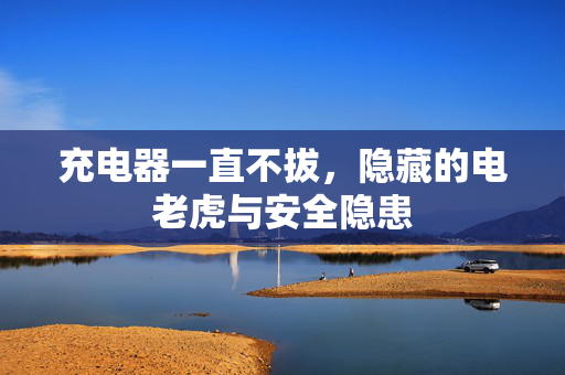 充电器一直不拔，隐藏的电老虎与安全隐患