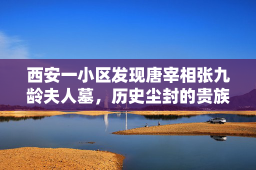 西安一小区发现唐宰相张九龄夫人墓，历史尘封的贵族之谜