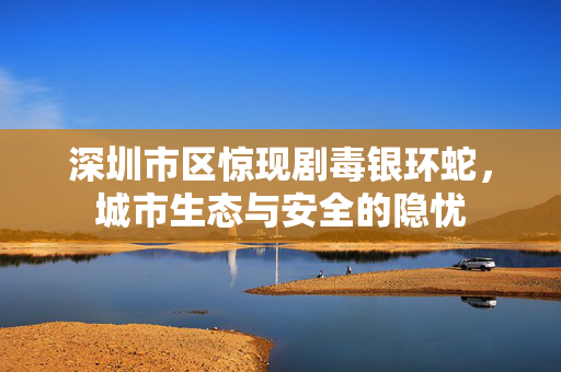 深圳市区惊现剧毒银环蛇，城市生态与安全的隐忧