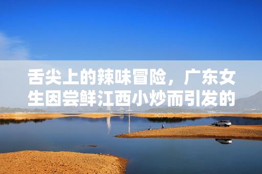舌尖上的辣味冒险，广东女生因尝鲜江西小炒而引发的辣条之旅