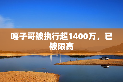 嘎子哥被执行超1400万，已被限高