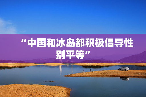 “中国和冰岛都积极倡导性别平等”