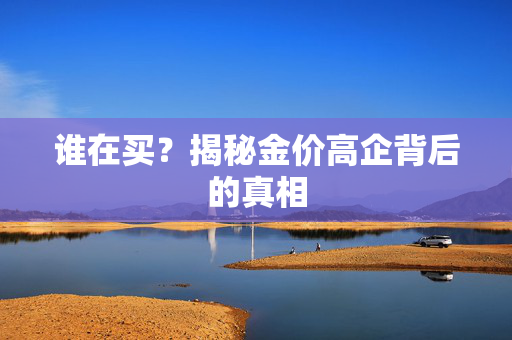 谁在买？揭秘金价高企背后的真相