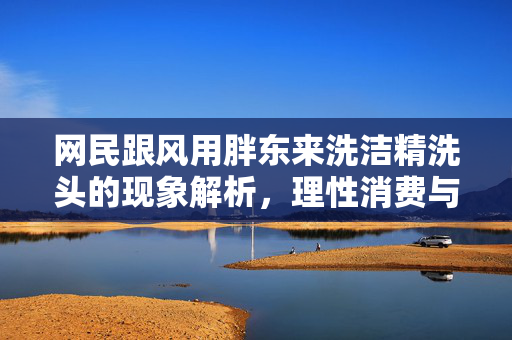 网民跟风用胖东来洗洁精洗头的现象解析，理性消费与安全意识的警醒