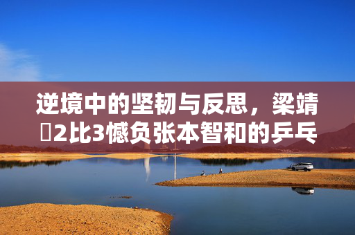 逆境中的坚韧与反思，梁靖崑2比3憾负张本智和的乒乓对决