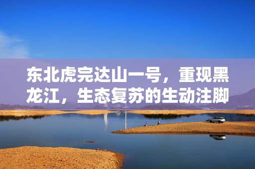 东北虎完达山一号，重现黑龙江，生态复苏的生动注脚