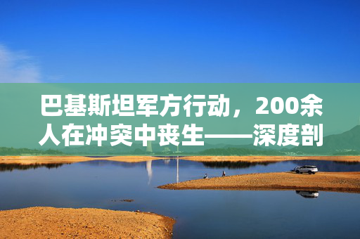 巴基斯坦军方行动，200余人在冲突中丧生——深度剖析与反思