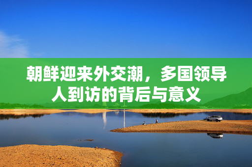 朝鲜迎来外交潮，多国领导人到访的背后与意义
