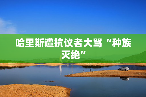 哈里斯遭抗议者大骂“种族灭绝”