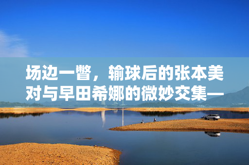 场边一瞥，输球后的张本美对与早田希娜的微妙交集——竞技场上的情感微澜