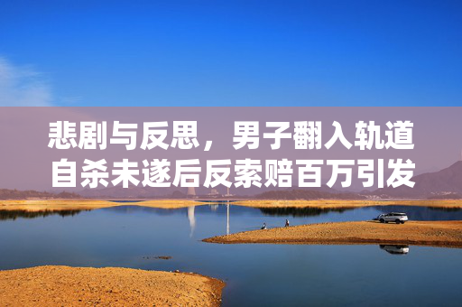 悲剧与反思，男子翻入轨道自杀未遂后反索赔百万引发的社会思考