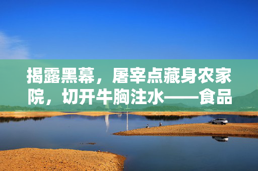 揭露黑幕，屠宰点藏身农家院，切开牛胸注水——食品安全之殇