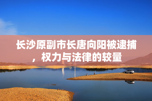 长沙原副市长唐向阳被逮捕，权力与法律的较量