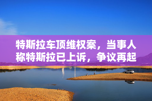 特斯拉车顶维权案，当事人称特斯拉已上诉，争议再起波澜
