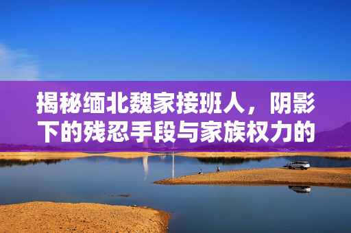 揭秘缅北魏家接班人，阴影下的残忍手段与家族权力的暗流