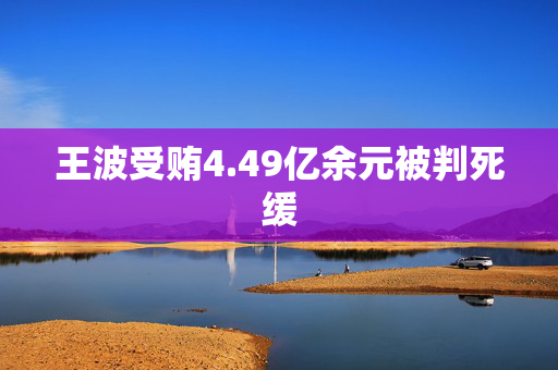 王波受贿4.49亿余元被判死缓