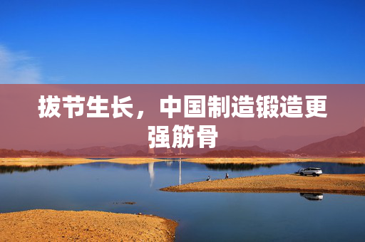 拔节生长，中国制造锻造更强筋骨