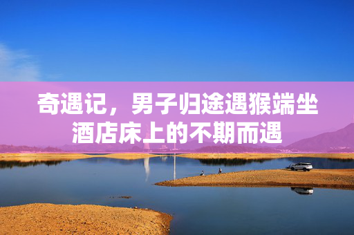 奇遇记，男子归途遇猴端坐酒店床上的不期而遇