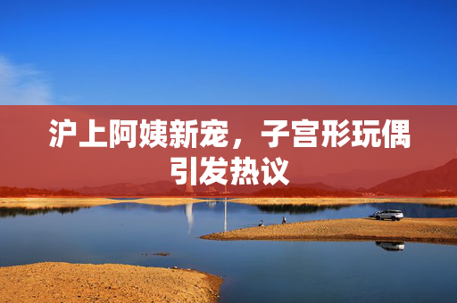 沪上阿姨新宠，子宫形玩偶引发热议