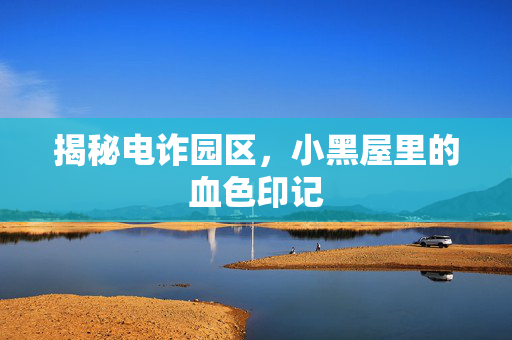 揭秘电诈园区，小黑屋里的血色印记