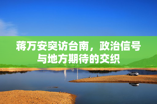 蒋万安突访台南，政治信号与地方期待的交织