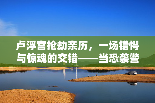 卢浮宫抢劫亲历，一场错愕与惊魂的交错——当恐袭警报响起时