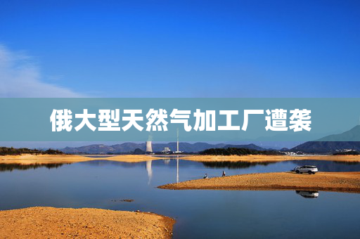 俄大型天然气加工厂遭袭